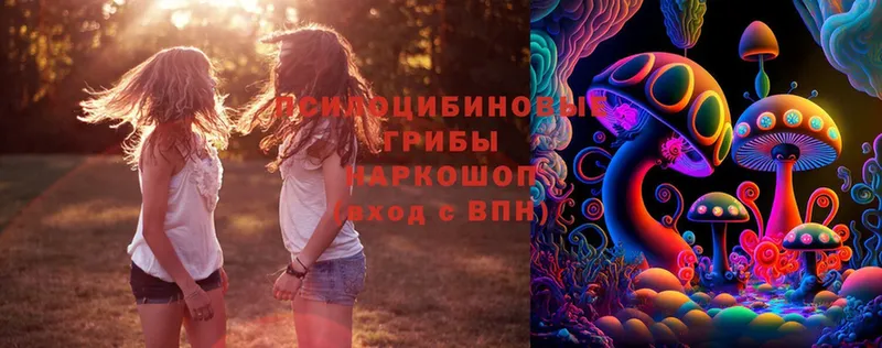 Галлюциногенные грибы MAGIC MUSHROOMS  Абинск 